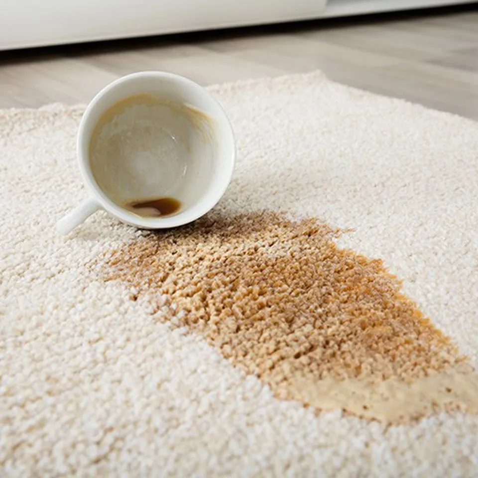 Area rug cleaning | A&R Floor Supplies